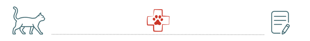 pet insurance Toptails Vet Puyallup WA urgent care visit cat