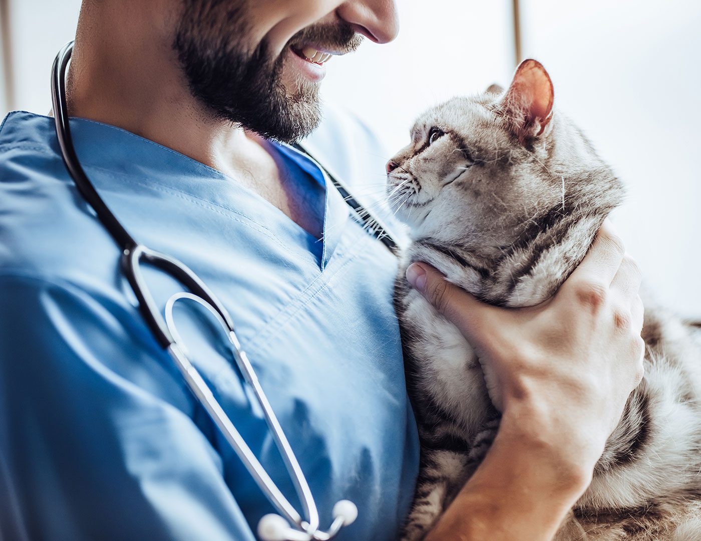 Male Veterinarian With Cat
