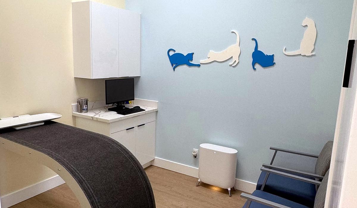 One of the cat exam rooms at our clinic